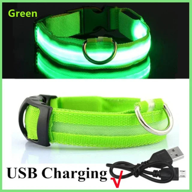 LED Glowing Dog Collar Rechargeable