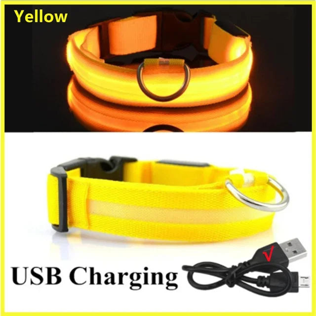 LED Glowing Dog Collar Rechargeable