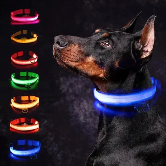 LED Glowing Dog Collar Rechargeable