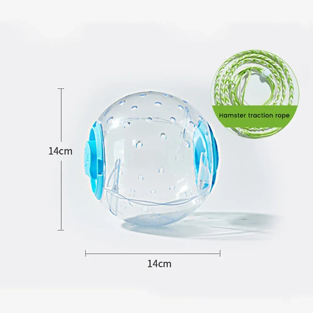 Interactive Hamster Exercise Ball