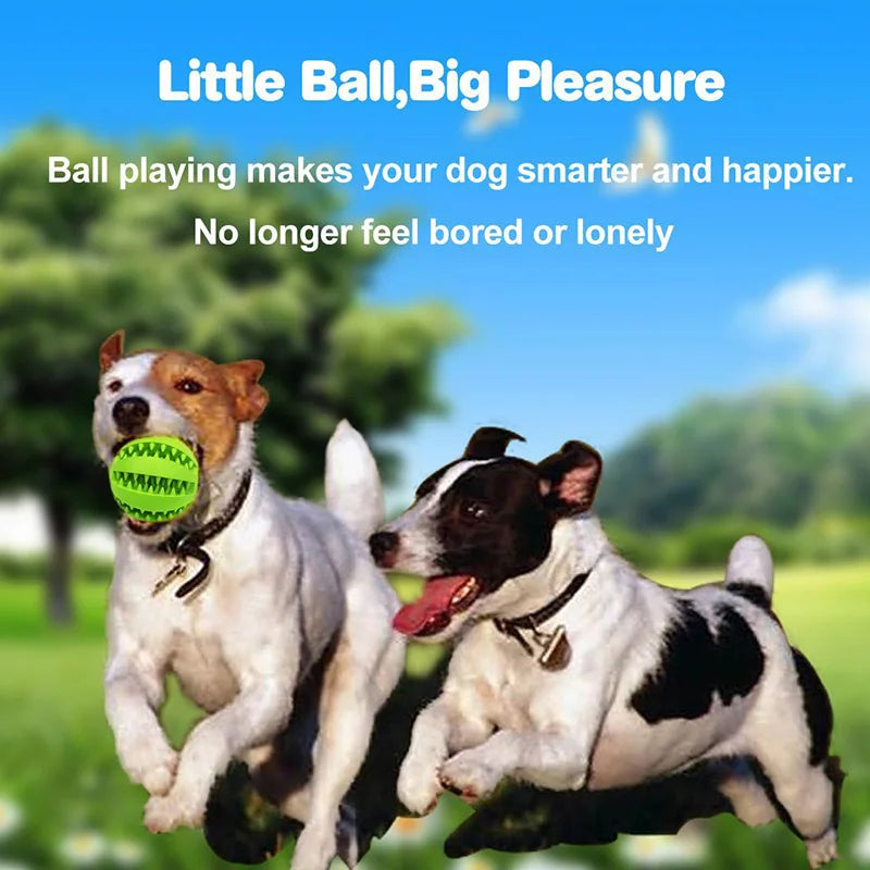 Natural Rubber Dog Toys