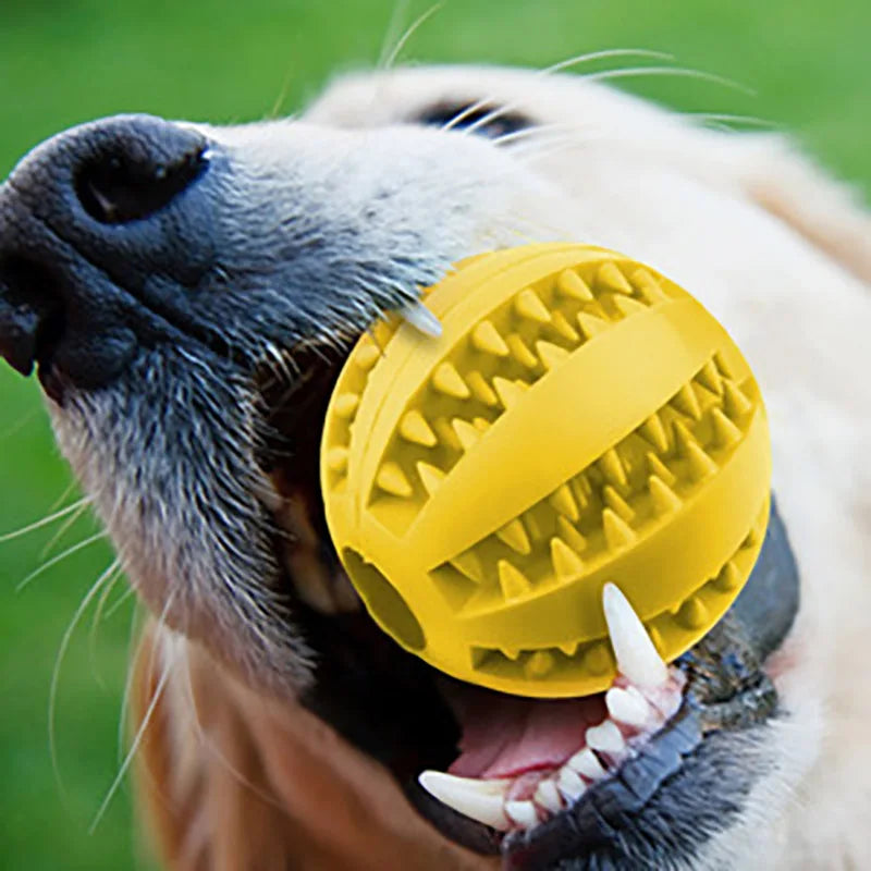 Natural Rubber Dog Toys
