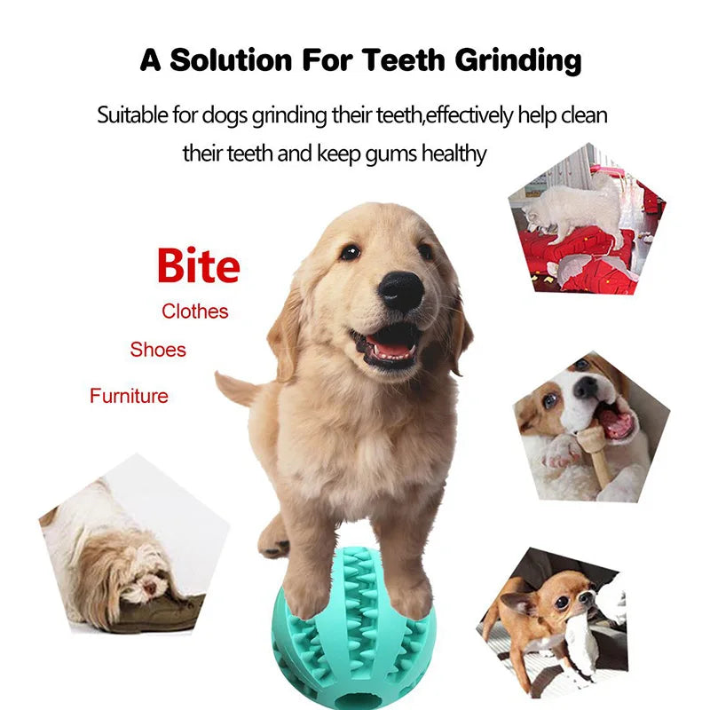 Natural Rubber Dog Toys