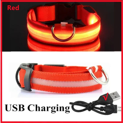 LED Glowing Dog Collar Rechargeable