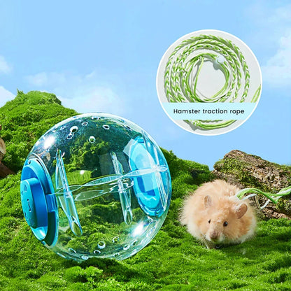 Interactive Hamster Exercise Ball