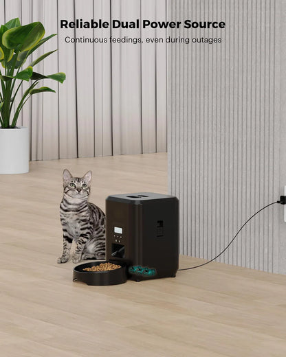 Smart Pet Feeder Automatic.