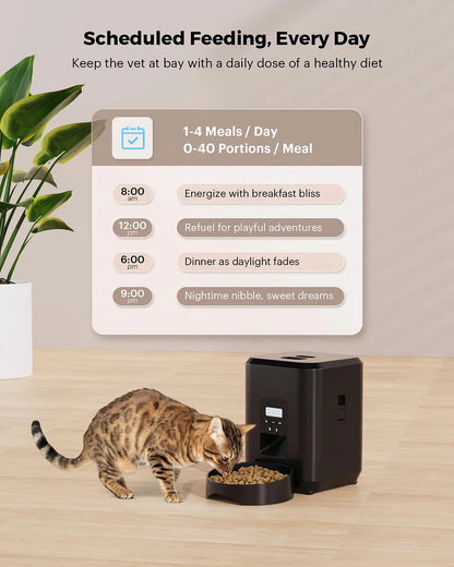 Smart Pet Feeder Automatic.