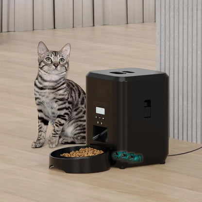 Smart Pet Feeder Automatic.