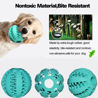 Natural Rubber Dog Toys
