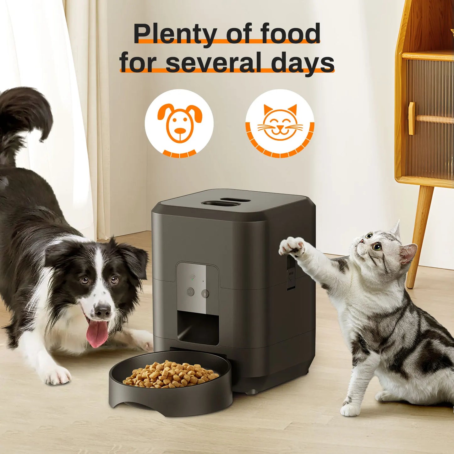Smart Pet Feeder Automatic.