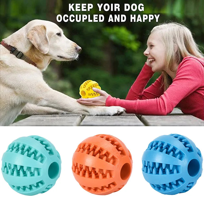 Natural Rubber Dog Toys