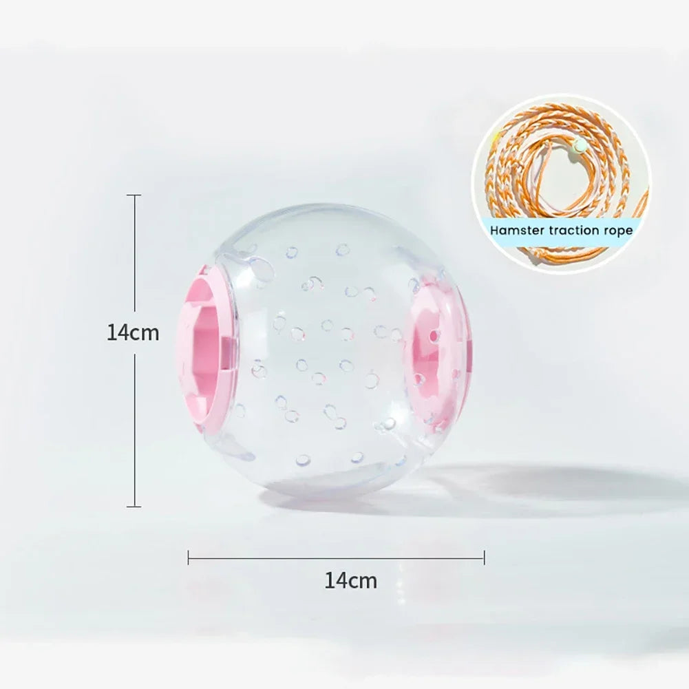 Interactive Hamster Exercise Ball