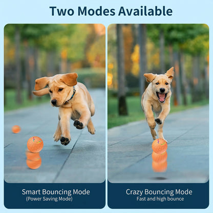 Smart USB Automatic Moving Bouncing Ball Dog Toy Rechargeable