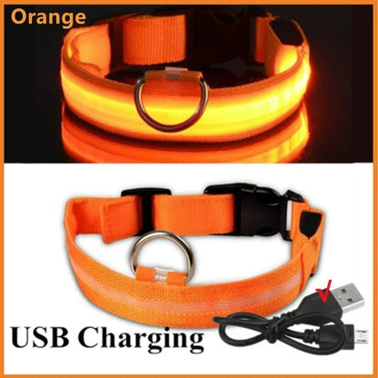 LED Glowing Dog Collar Rechargeable
