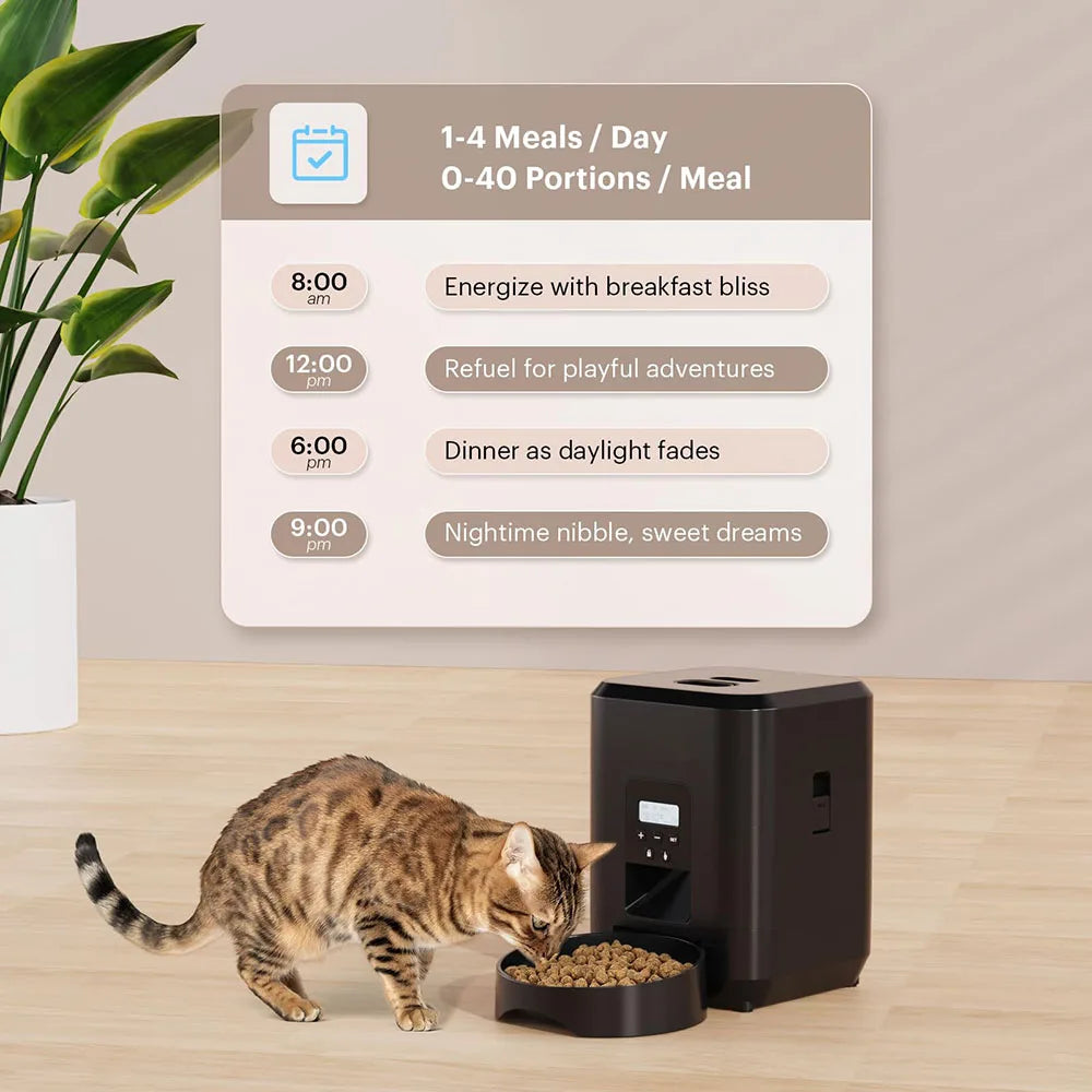 Smart Pet Feeder Automatic.