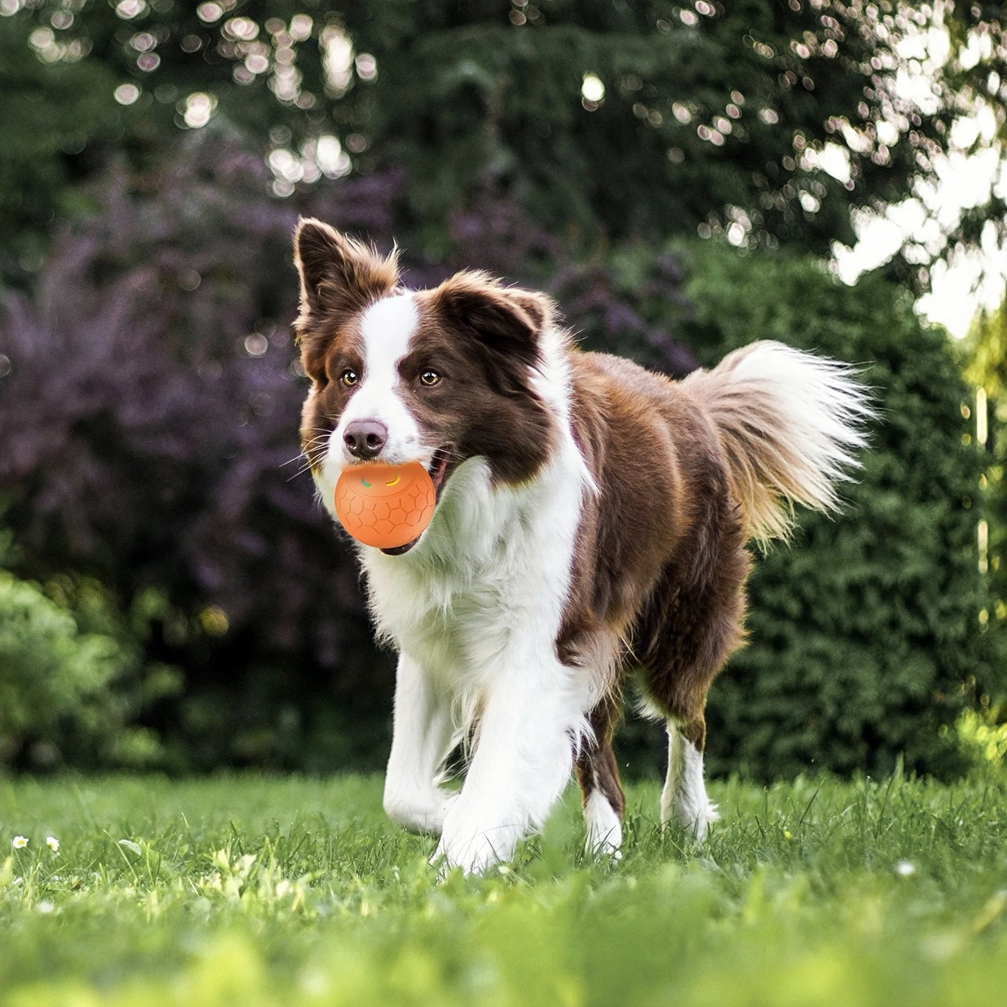 Smart USB Automatic Moving Bouncing Ball Dog Toy Rechargeable