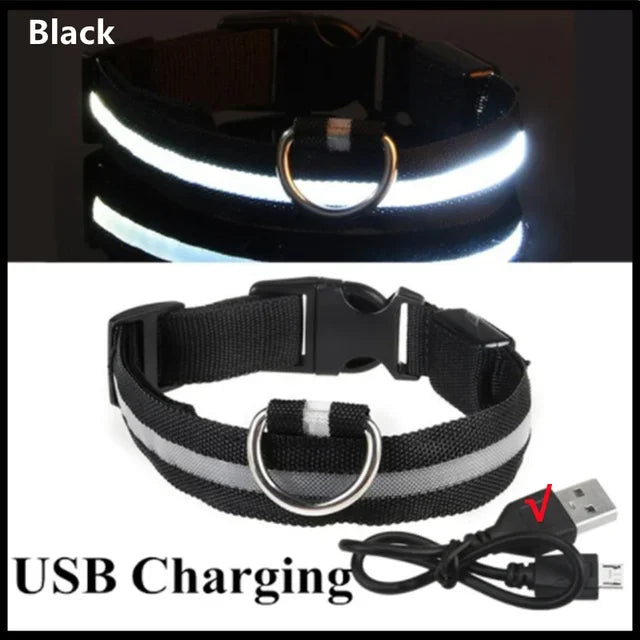 LED Glowing Dog Collar Rechargeable